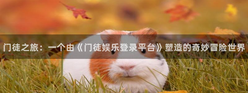 杏宇凯捷平台注册链接：门徒之旅：一个由《门徒娱乐登录平台》塑造的奇妙冒险世界
