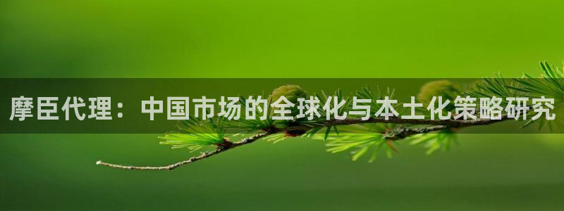 杏宇登录界面入口：摩臣代理：中国市场的全球化与本土化策略研究