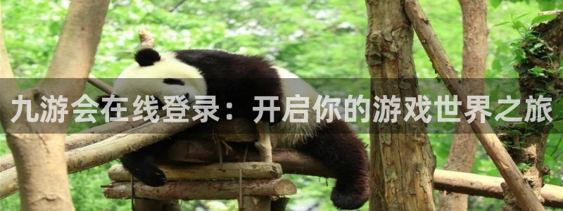 杏宇能源：九游会在线登录：开启你的游戏世界之旅