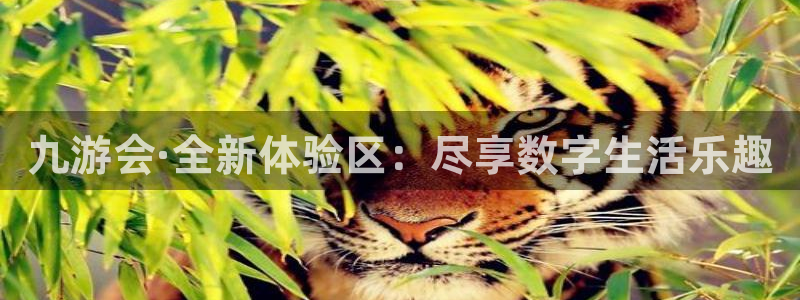杏宇电子有限公司：九游会·全新体验区：尽享数字生活乐趣