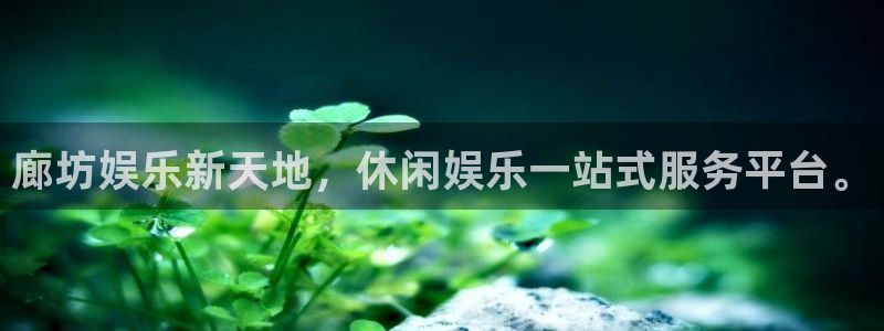 杏宇2登录地址：廊坊娱乐新天地，休闲娱乐一站式服务平台。