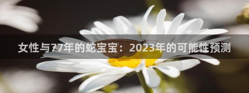 成都杏宇电子有限公司：女性与77年的蛇宝宝：2023年的可能性预测
