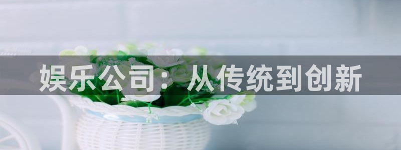 杏宇体育app下载：娱乐公司：从传统到创新