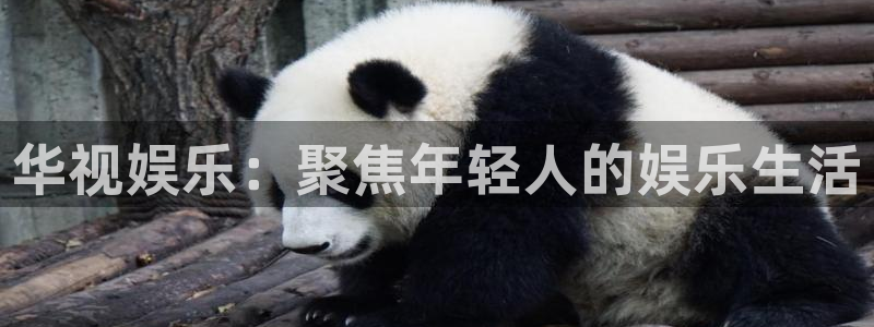 杏宇平台注册入口：华视娱乐：聚焦年轻人的娱乐生活