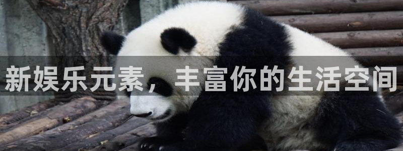 杏宇3平台注册：新娱乐元素，丰富你的生活空间