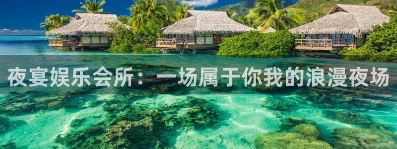 杏宇3登录：夜宴娱乐会所：一场属于你我的浪漫夜场