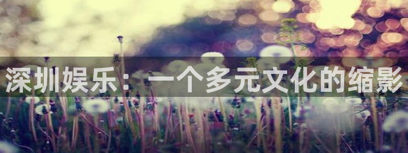 杏宇体育官网登录：深圳娱乐：一个多元文化的缩影