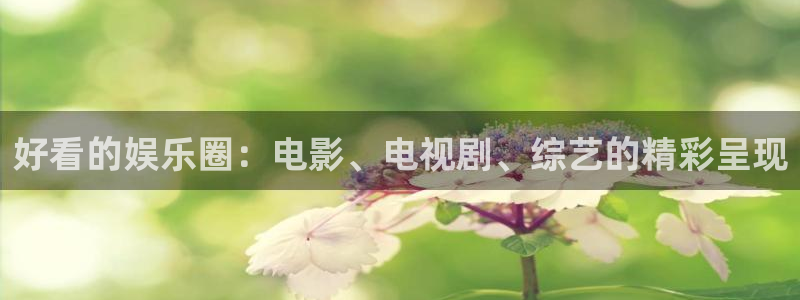 杏宇体育平台开号链接：好看的娱乐圈：电影、电视剧、综艺的精彩呈现