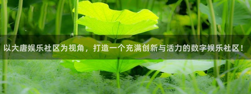 杏宇主管：以大唐娱乐社区为视角，打造一个充满创新与活力的数字娱乐社区！