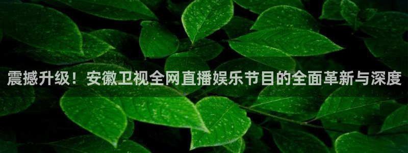杏宇体育论坛：震撼升级！安徽卫视全网直播娱乐节目的全面革新与深度
