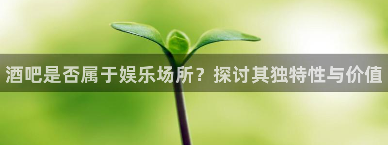 杏宇体育注册平台：酒吧是否属于娱乐场所？探讨其独特性与价值