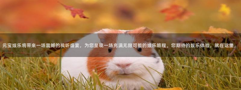 上海杏宇汽车电子有限公司：元宝娱乐将带来一场震撼的视听盛宴，为您呈现一场充满无限