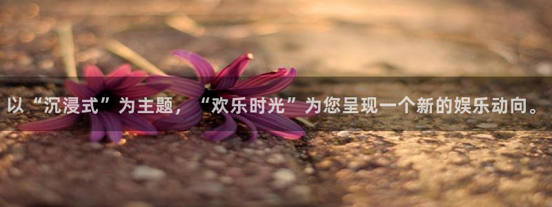 杏宇主管：以“沉浸式”为主题，“欢乐时光”为您呈现一个新的娱乐动向。