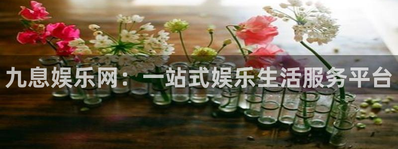 杏宇平台在线开户：九息娱乐网：一站式娱乐生活服务平台