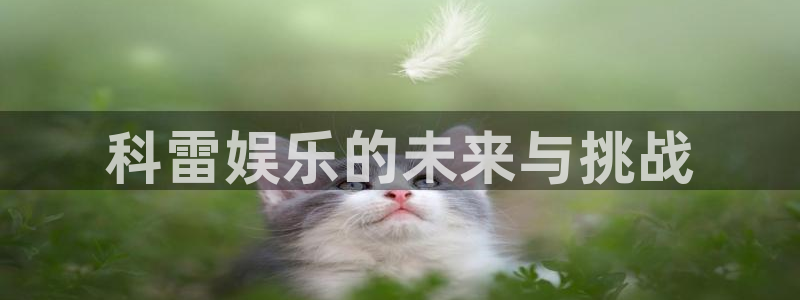 杏宇体育凯捷平台注册：科雷娱乐的未来与挑战