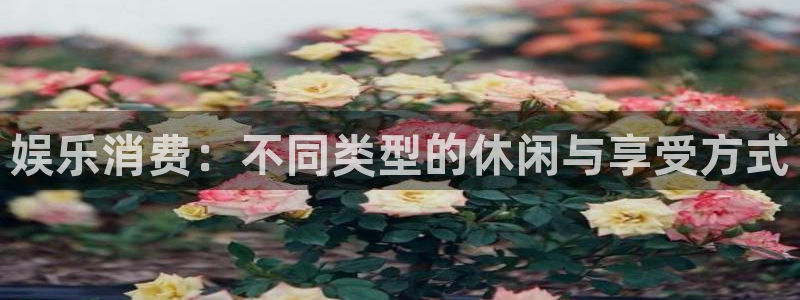 杏宇凯捷平台：娱乐消费：不同类型的休闲与享受方式