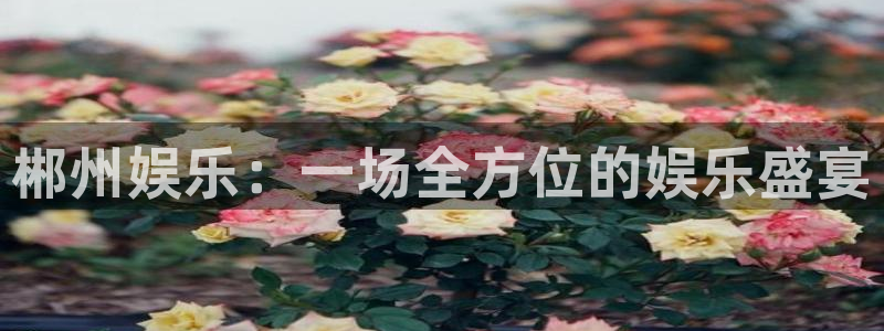 上海杏宇汽车电子有限公司：郴州娱乐：一场全方位的娱乐盛宴
