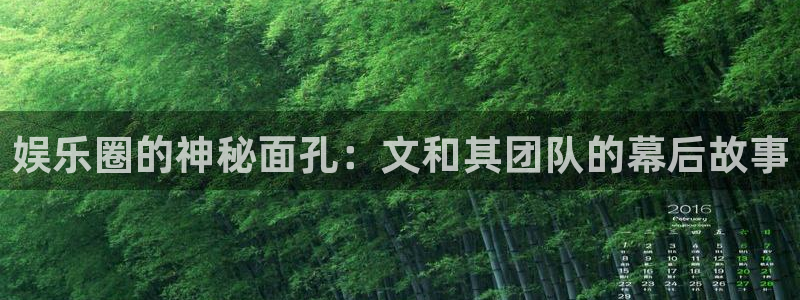 杏宇体育论坛：娱乐圈的神秘面孔：文和其团队的幕后故事