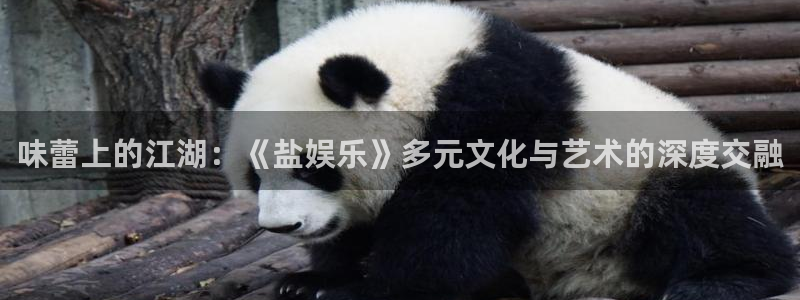杏宇体育3：味蕾上的江湖：《盐娱乐》多元文化与艺术的深度交融