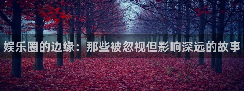 杏宇2代理注册：娱乐圈的边缘：那些被忽视但影响深远的故事