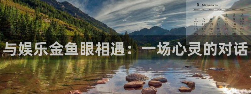 杏宇体育游戏：与娱乐金鱼眼相遇：一场心灵的对话