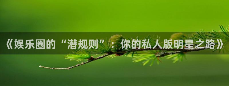 上海杏宇汽车电子有限公司：《娱乐圈的“潜规则”：你的私人版明星之路》