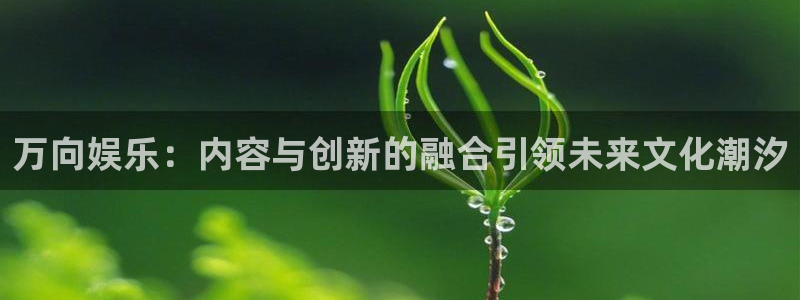 杏宇体育热门赛事有哪些：万向娱乐：内容与创新的融合引领未来文化潮汐