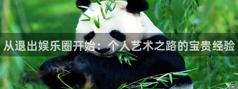 杏宇体育注册：从退出娱乐圈开始：个人艺术之路的宝贵经验