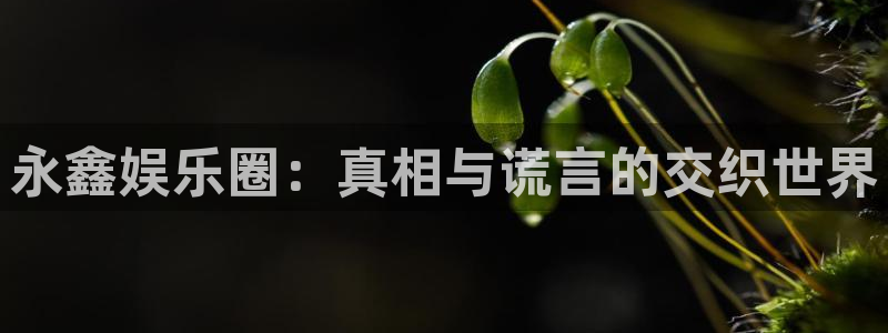 杏宇体育2：永鑫娱乐圈：真相与谎言的交织世界