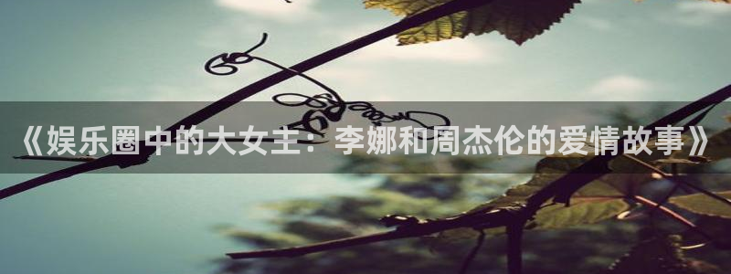 杏宇登录注册：《娱乐圈中的大女主：李娜和周杰伦的爱情故事》