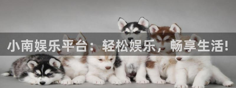 杏宇体育注册